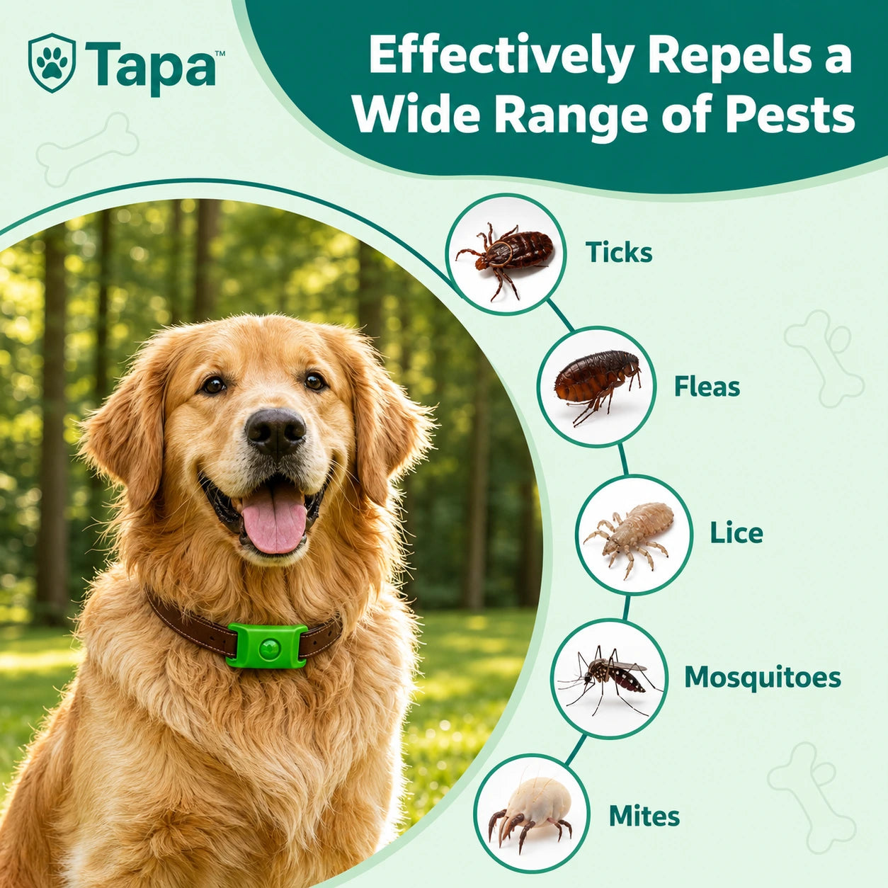 Tapa Tag™ 12 Months Flea and Tick Free