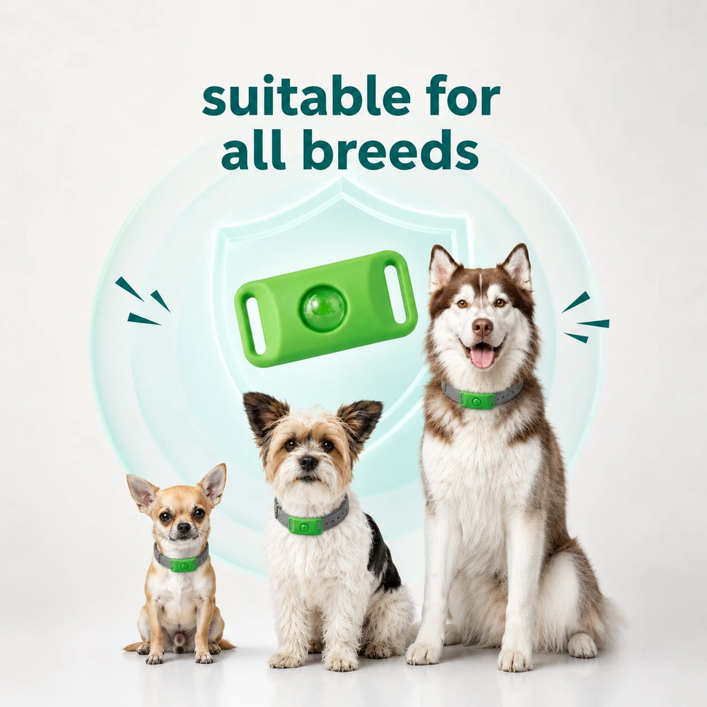 Tapa Tag™ 12 Months Flea and Tick Free